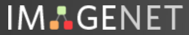 imagenet_logo